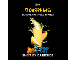 Табак Dark Side Shot Полярный 30г Акцизный